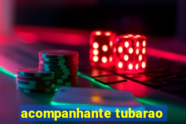 acompanhante tubarao